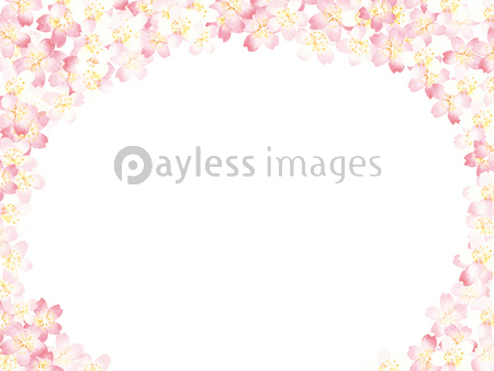 桜 フレームイラスト 水彩 商用利用可能な写真素材 イラスト素材ならストックフォトの定額制ペイレスイメージズ