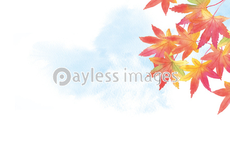 紅葉と空 水彩イラスト ストックフォトの定額制ペイレスイメージズ