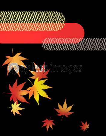 紅葉 秋 もみじ 紅葉狩り 楓 和柄 和風 ストックフォトの定額制ペイレスイメージズ