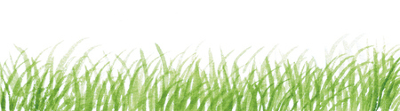 芝生 水彩イラスト ストックフォトの定額制ペイレスイメージズ