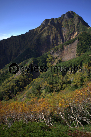 初秋の八ヶ岳 阿弥陀岳 商用利用可能な写真素材 イラスト素材ならストックフォトの定額制ペイレスイメージズ