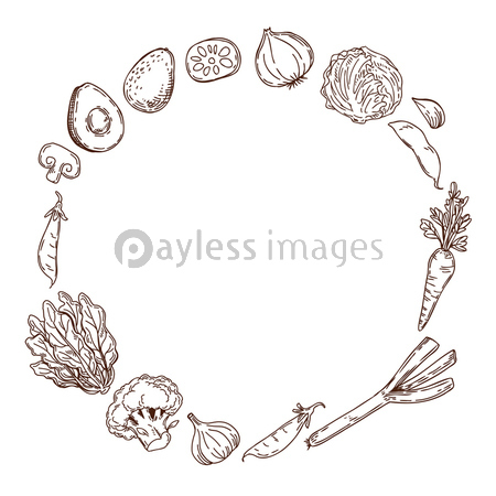 野菜の手描きイラストセット ストックフォトの定額制ペイレスイメージズ