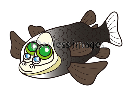 デメニギス Barreleye 深海魚 キャラクター イラスト ストックフォトの定額制ペイレスイメージズ