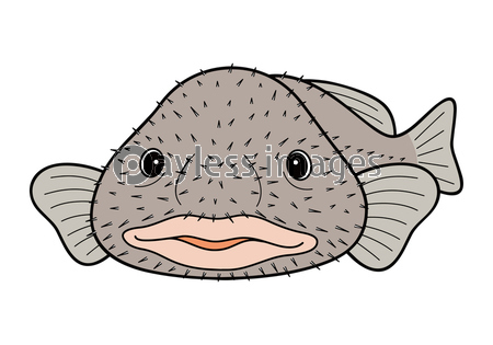 ブロブフィッシュ ニュウドウカジカ 深海魚 キャラクター ベクターイラスト 商用利用可能な写真素材 イラスト 素材ならストックフォトの定額制ペイレスイメージズ