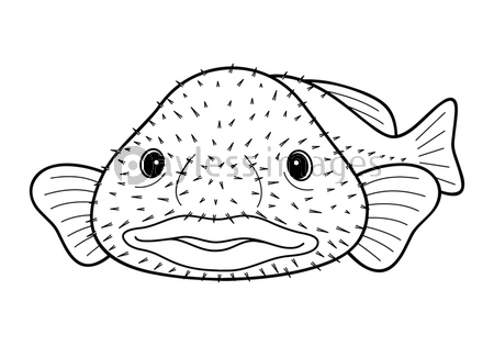 ブロブフィッシュ ニュウドウカジカ 深海魚 キャラクター ベクターイラスト 商用利用可能な写真素材 イラスト 素材ならストックフォトの定額制ペイレスイメージズ