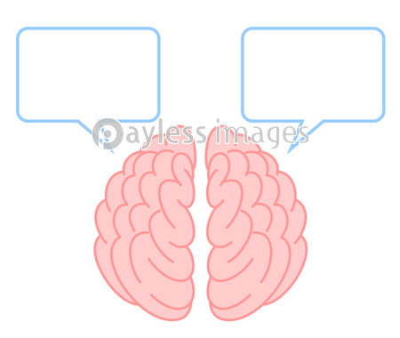 脳 右脳 左脳 大脳 イラスト 漫画 ストックフォトの定額制ペイレス