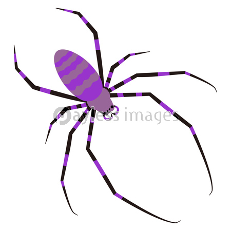 蜘蛛 イラスト クリップアート 商用利用可能な写真素材 イラスト素材ならストックフォトの定額制ペイレスイメージズ