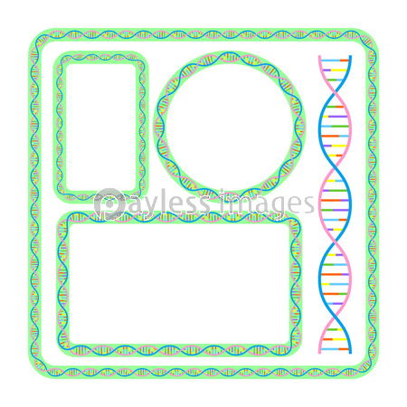Dna 遺伝子のデザイン フレーム セット ベクターイラスト ストックフォトの定額制ペイレスイメージズ