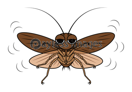飛んでくるゴキブリ キャラクター ベクターイラスト ストックフォトの定額制ペイレスイメージズ