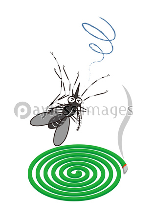 蚊取り線香の効果で落下している蚊 イラスト ストックフォトの定額制ペイレスイメージズ