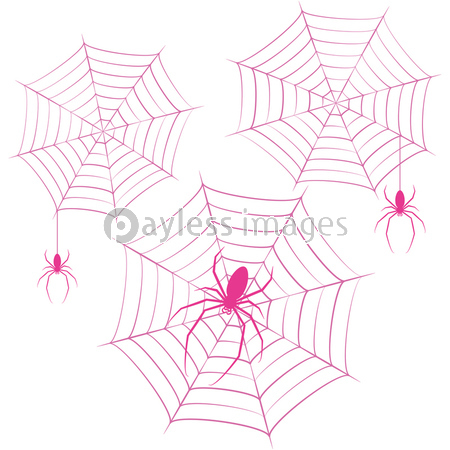 蜘蛛の巣 ベクター イラスト クリップアート 商用利用可能な写真素材 イラスト素材ならストックフォトの定額制ペイレスイメージズ