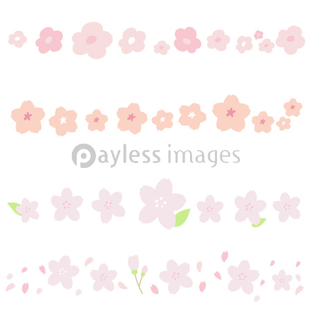 桜 ライン イラスト 商用利用可能な写真素材 イラスト素材ならストックフォトの定額制ペイレスイメージズ