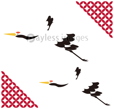 飛んでいる鶴 背景素材 ベクター イラスト ストックフォトの定額制ペイレスイメージズ