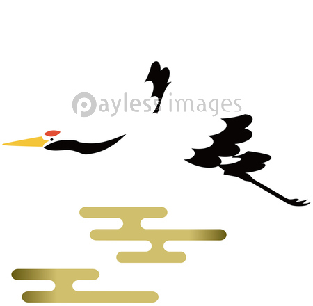 飛んでいる鶴 背景素材 ベクター イラスト ストックフォトの定額制ペイレスイメージズ
