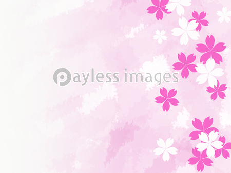 桜 和風 さくら 和柄 和 市松模様 春 扇 扇子 商用利用可能な写真素材 イラスト素材ならストックフォトの定額制ペイレスイメージズ