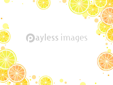 輪切りの柑橘のイラスト背景 ストックフォトの定額制ペイレスイメージズ