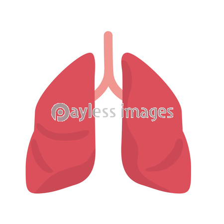 肺 イラスト 健康 商用利用可能な写真素材 イラスト素材ならストックフォトの定額制ペイレスイメージズ