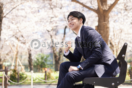公園のベンチで笑顔で座る日本人男性ビジネスマン 商用利用可能な写真素材 イラスト素材ならストックフォトの定額制ペイレスイメージズ