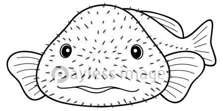ブロブフィッシュ ニュウドウカジカ 深海魚 キャラクター ベクターイラスト 商用利用可能な写真素材 イラスト素材ならストックフォトの定額制ペイレスイメージズ