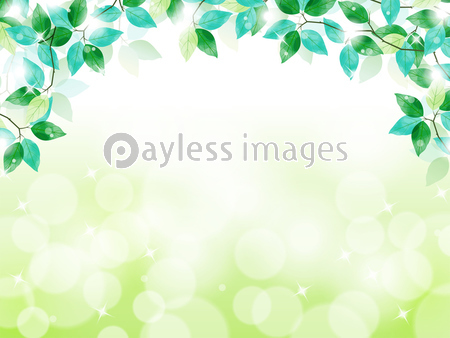 フレーム 葉 緑 新緑 木漏れ日 風景 初夏 ベクター イラスト 商用利用可能な写真素材 イラスト素材ならストックフォトの定額制ペイレスイメージズ