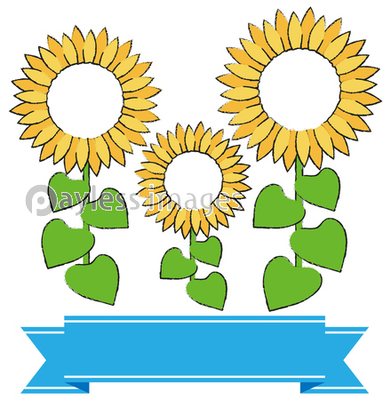 ひまわりのフレーム イラスト Sunflower 商用利用可能な写真素材 イラスト素材ならストックフォトの定額制ペイレスイメージズ