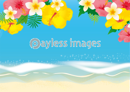 南の島のハイビスカスのリゾートイラスト 商用利用可能な写真素材 イラスト素材ならストックフォトの定額制ペイレスイメージズ