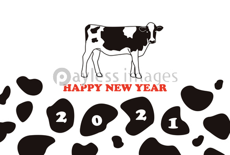 丑年 21年 牛とホルスタイン柄の年賀状イラスト ストックフォトの定額制ペイレスイメージズ