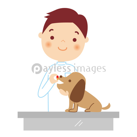 犬に薬を飲ませる男性獣医さんのイラスト ストックフォトの定額制ペイレスイメージズ