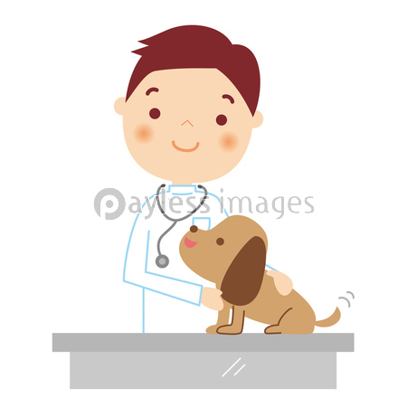 男性獣医さんと犬のイラスト ストックフォトの定額制ペイレスイメージズ
