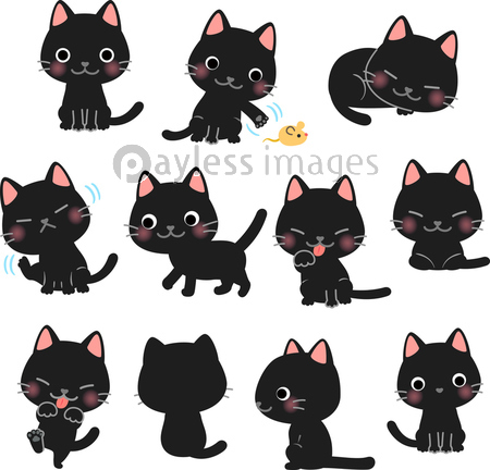 かわいい黒猫のポーズイラストセット ストックフォトの定額制ペイレスイメージズ