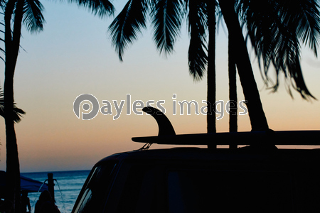 ハワイ ワイキキビーチのヤシの木のシルエット 商用利用可能な写真素材 イラスト素材ならストックフォトの定額制ペイレスイメージズ