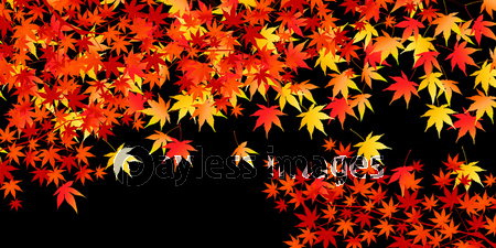 紅葉 もみじ 秋 背景 商用利用可能な写真素材 イラスト素材ならストックフォトの定額制ペイレスイメージズ
