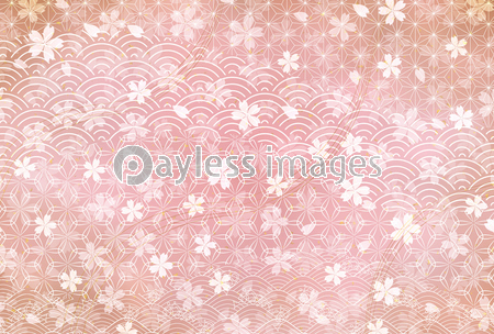 桜 年賀状 和柄 背景 ストックフォトの定額制ペイレスイメージズ