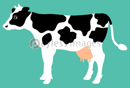 水色を背景にした白黒模様のある乳牛の全身イラスト 横向き ストックフォトの定額制ペイレスイメージズ