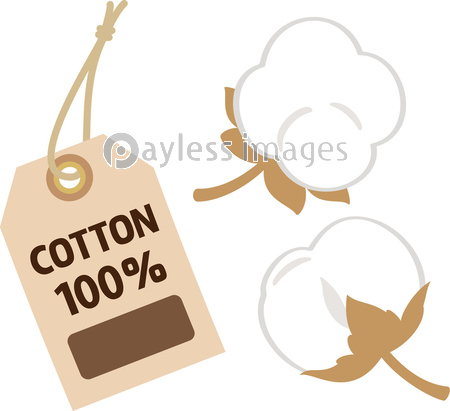 ワタの写真 イラスト素材 写真素材 商用利用可能な写真素材 イラスト素材ならストックフォトの定額制ペイレスイメージズ