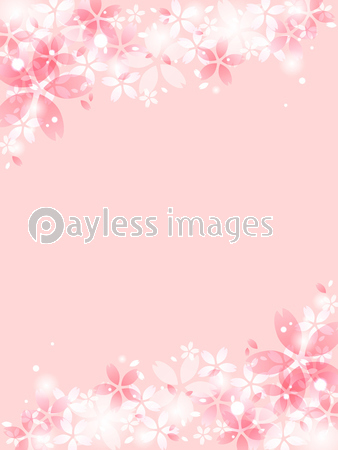 ピンクの桜の花のイラストフレーム 商用利用可能な写真素材 イラスト素材ならストックフォトの定額制ペイレスイメージズ