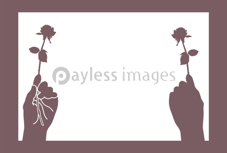 一輪の薔薇を持った手のイラスト はがきテンプレート 商用利用可能な写真素材 イラスト素材ならストックフォトの定額制ペイレスイメージズ