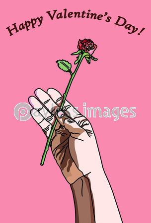 一輪の薔薇を持った手のシンプルな線画イラスト はがきテンプレート 商用利用可能な写真素材 イラスト素材ならストックフォトの定額制ペイレスイメージズ