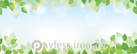 新緑と青空のシームレスな背景イラスト ストックフォトの定額制ペイレスイメージズ