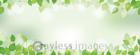 新緑のシームレスな背景イラスト ストックフォトの定額制ペイレスイメージズ