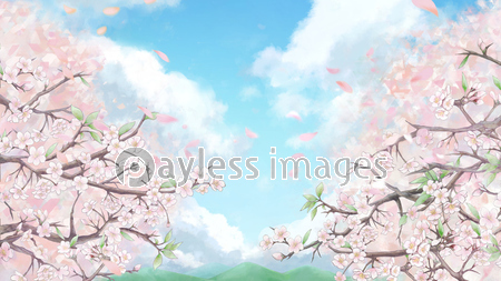 桜の並木背景イラスト1 カラー背景 ストックフォトの定額制ペイレスイメージズ