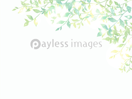 水彩風の枝葉のイラスト背景素材 ストックフォトの定額制ペイレスイメージズ