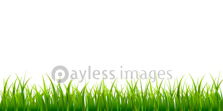 新緑 草 芝生 背景 商用利用可能な写真素材 イラスト素材ならストックフォトの定額制ペイレスイメージズ
