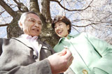 桜の花を見る老夫婦