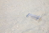 砂浜に捨てられたグラス