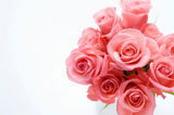 白い花瓶に生けたピンクのバラ