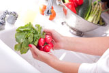 Woman+Washing+Radish+in+the+Kitchen+Sink.