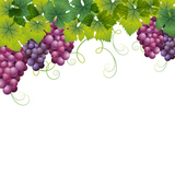 grape background