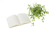 本と観葉植物