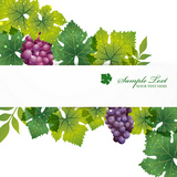 grape background